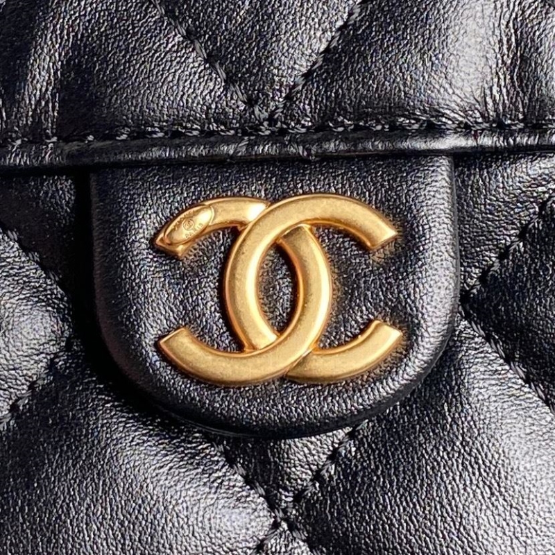 Ch**el 25c hobo bags